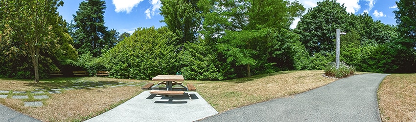 Mayfair Park, Queen Anne, Seattle WA