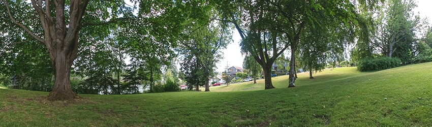 David Rogers Park, Queen Anne, Seattle WA