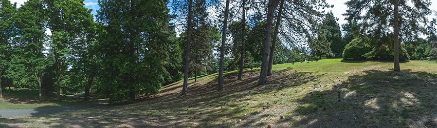 David Rogers Park, Queen Anne, Seattle WA