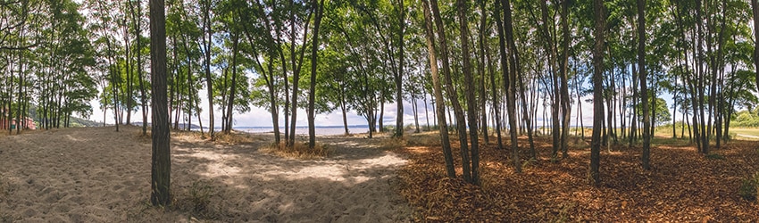 Golden Gardens Park, Ballard, Seattle WA