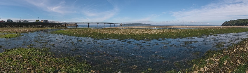 Des Moines Beach Park, Des Moines WA