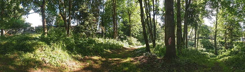 Des Moines City Park, Des Moines WA
