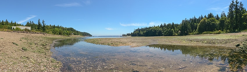 Blakely Harbor Park, Bainbridge Island WA