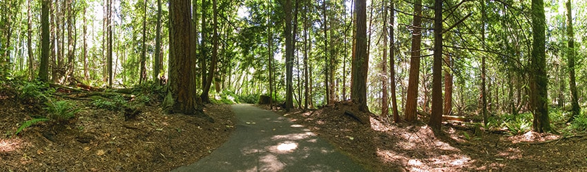 Fort Ward Park, Bainbridge Island WA