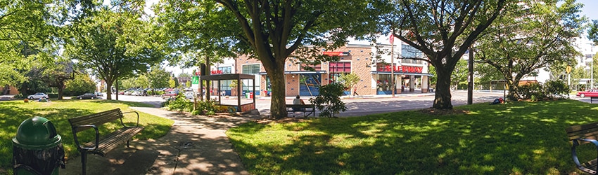 Williams Place Park, Capitol Hill, Seattle WA