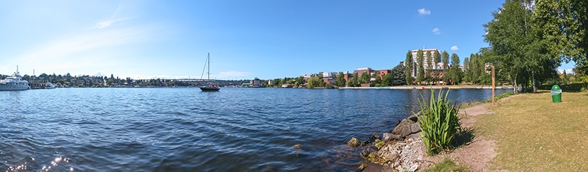 Montlake Park, Seattle WA