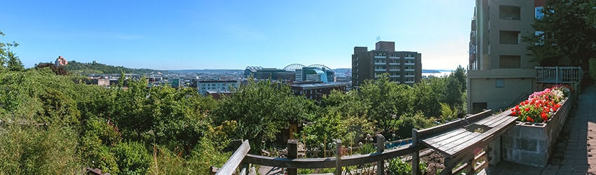 Kobe Terrace, Chinatown, Seattle WA