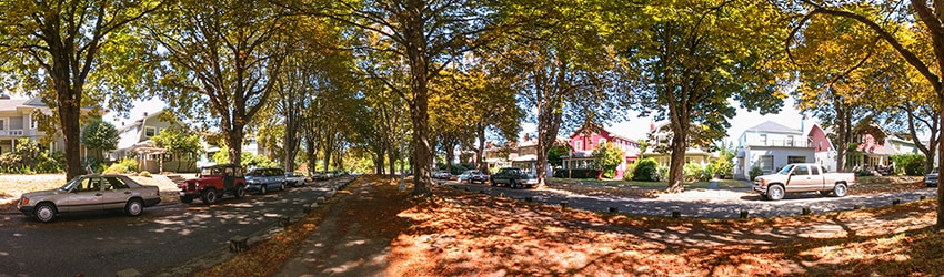 17th Ave NE, University District, Seattle WA