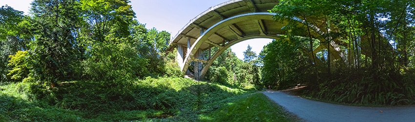 Ravenna Park, Ravenna, Seattle WA