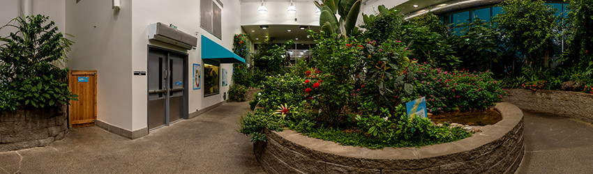 Butterfly Exhibit, Pacific Science Center, Seattle WA