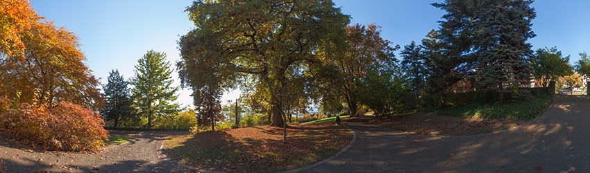 Kinnear Park, Queen Anne, Seattle WA