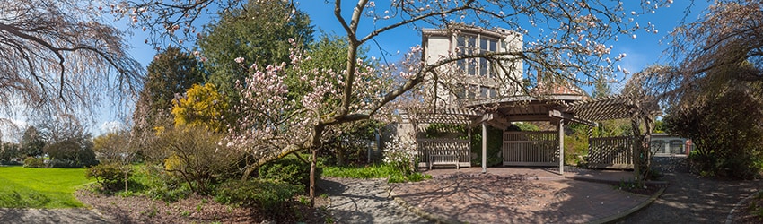 Parsons Gardens, Queen Anne, Seattle WA