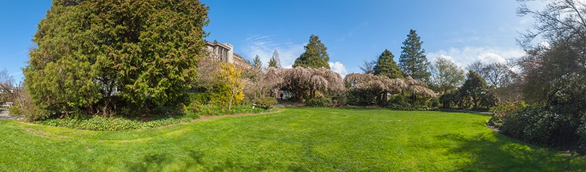 Parsons Gardens, Queen Anne, Seattle WA