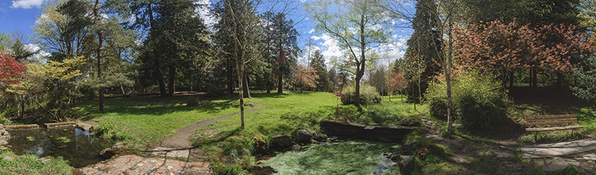 Mount Baker Park, Mount Baker, Seattle WA