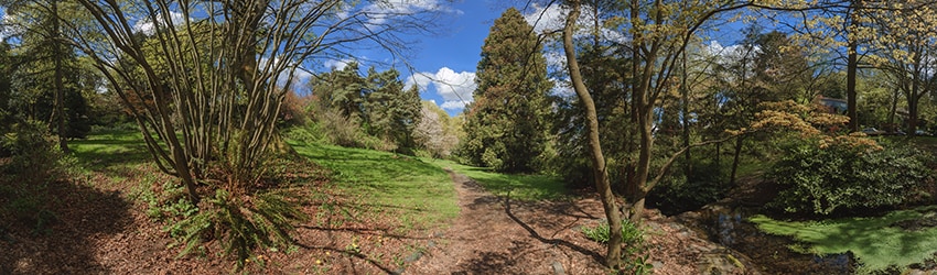 Mount Baker Park, Mount Baker, Seattle WA