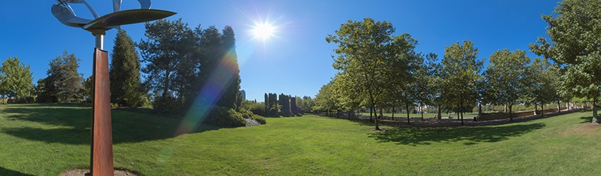 Downtown Park, Bellevue WA