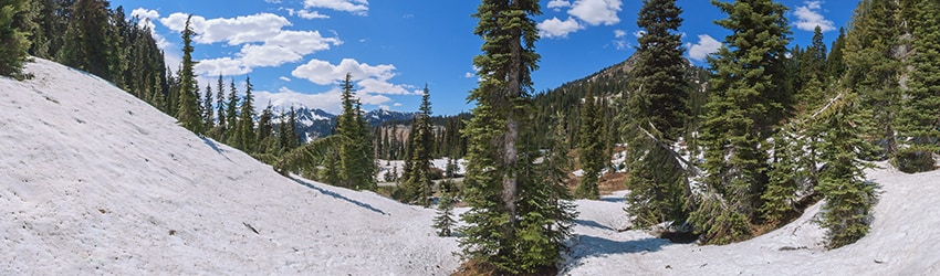 Mt Rainier National Park WA