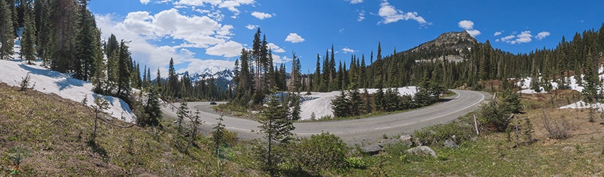 Mt Rainier National Park WA
