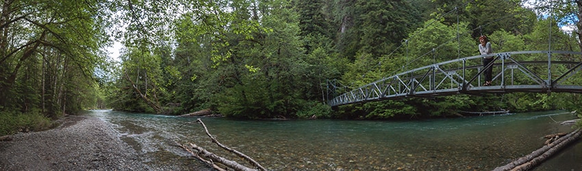 Mt Rainier National Park WA