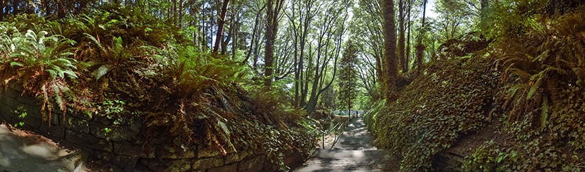 Golden Gardens Park, Ballard, Seattle WA