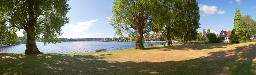 Montlake Park, Montlake, Seattle WA