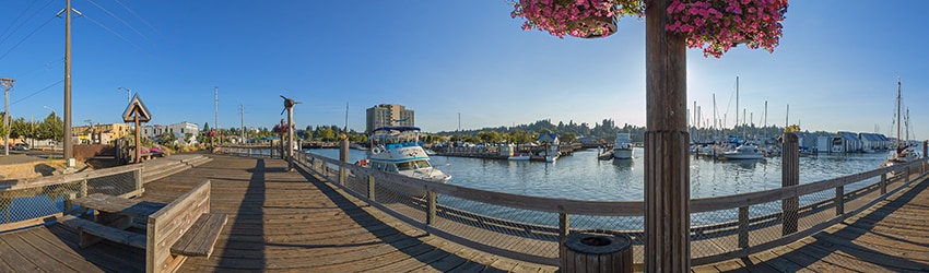 Percival Landing, Olympia WA