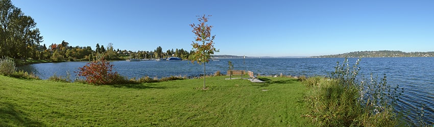 Lake Washington Blvd Park, Seward Park, Seattle WA