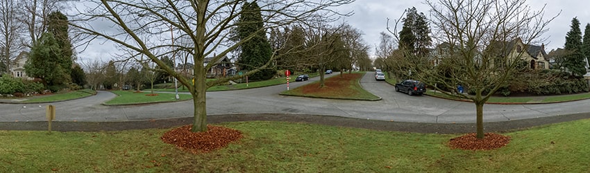 NE Ravenna Blvd & 17th Ave NE, Ravenna, Seattle WA