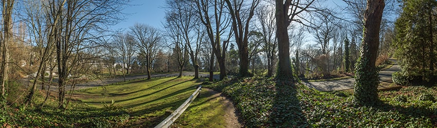Frink Park, Leschi, Seattle WA