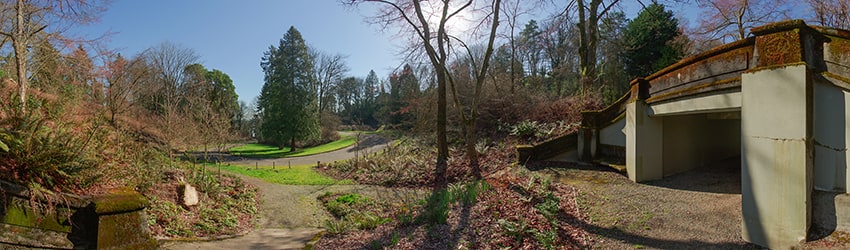 Coleman Park, Mt Baker, Seattle WA