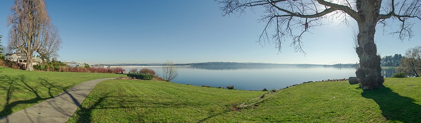 Coleman Park, Mt Baker, Seattle WA