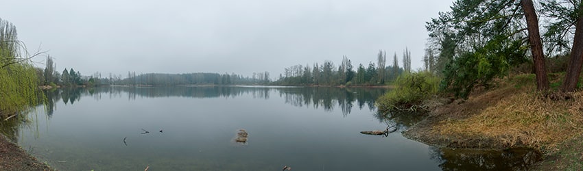 Waughop Lake, Lakewood WA