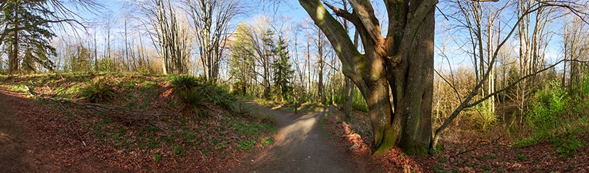 Discovery Park, Magnolia, Seattle WA