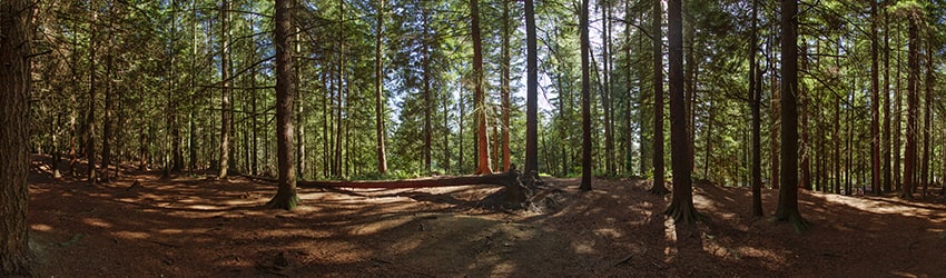 Hamlin Park, Shoreline WA