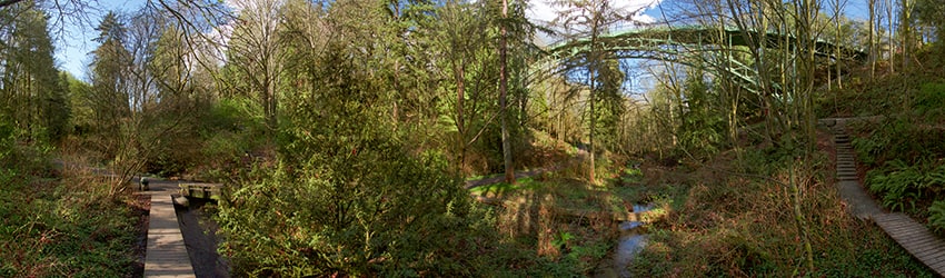 Ravenna Park, Seattle WA