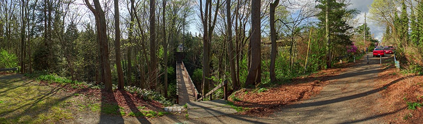 Ravenna Park, Seattle WA