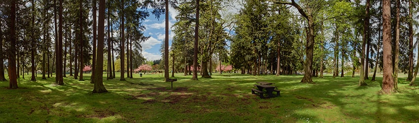 Marymoor Park, Redmond WA