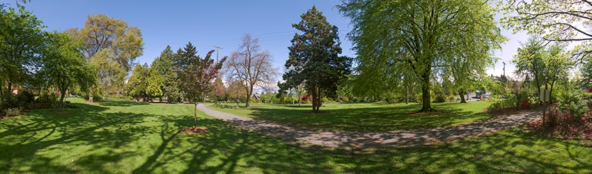 Roanoke Park, Seattle WA