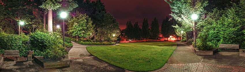 Wildwood Park, Bellevue WA