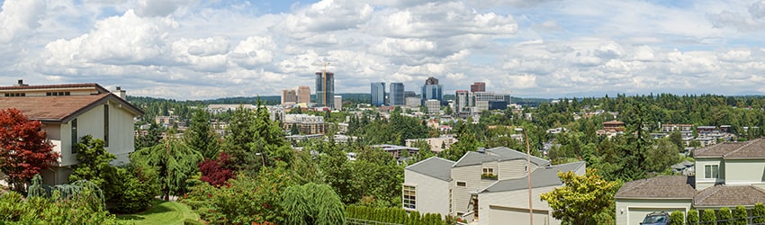 View from SE 7th St & 97th Pl SE, Bellevue WA