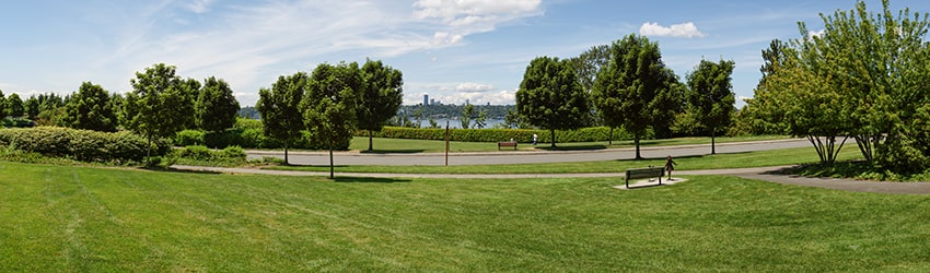 Lid Park, Mercer Island WA