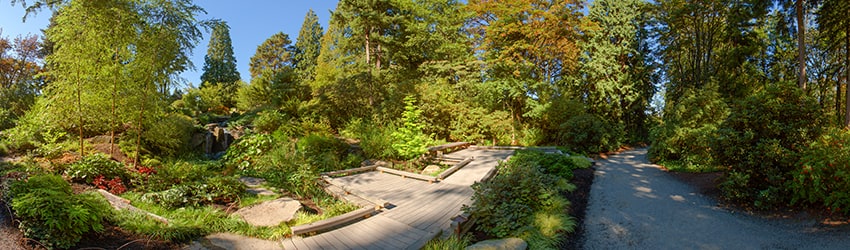 Bellevue Botanical Garden, Bellevue WA
