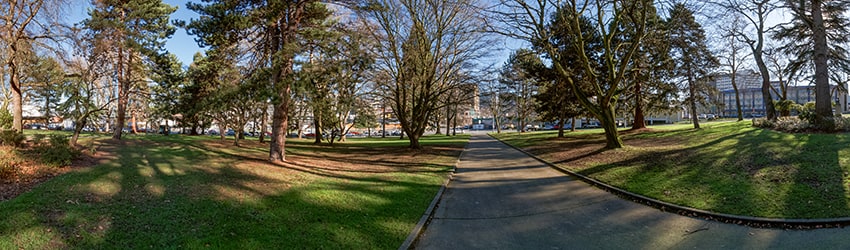 Denny Park, Seattle WA