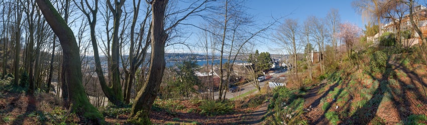 Streissguth Gardens, Capitol Hill, Seattle WA