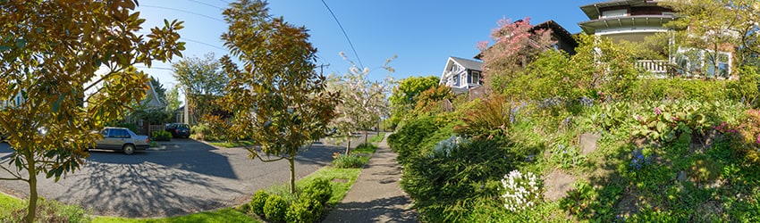 Federal Ave E & E Blaine St, Capitol Hill, Seattle WA