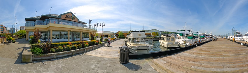 Chandler's Cove, South Lake Union, Seattle WA