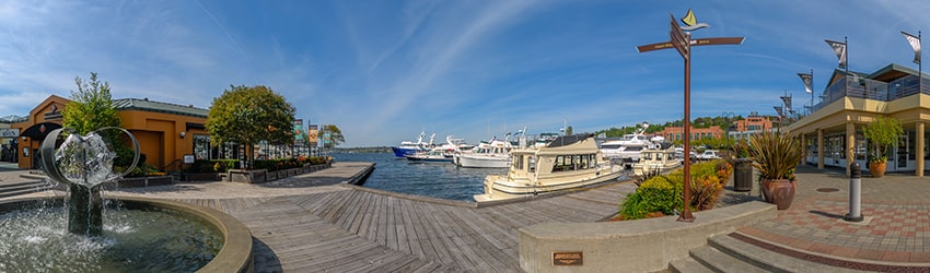 Chandler's Cove, South Lake Union, Seattle WA