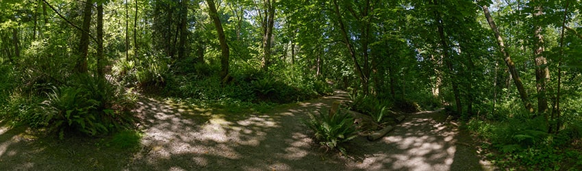 Camp Long, Delridge, Seattle WA