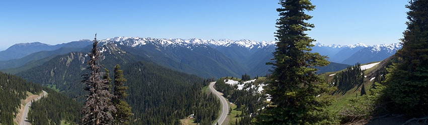 Hurricane Ridge, Olympic National Park WA