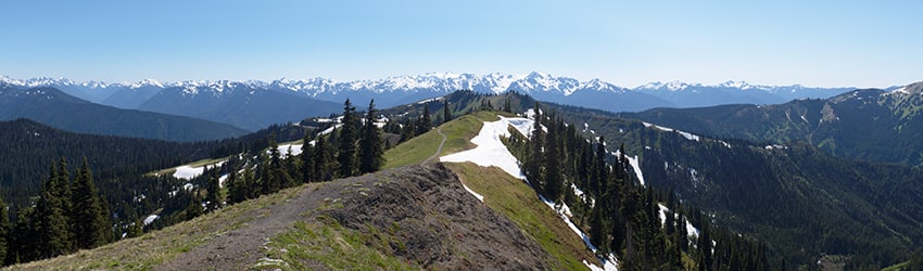 Hurricane Ridge, Olympic National Park WA
